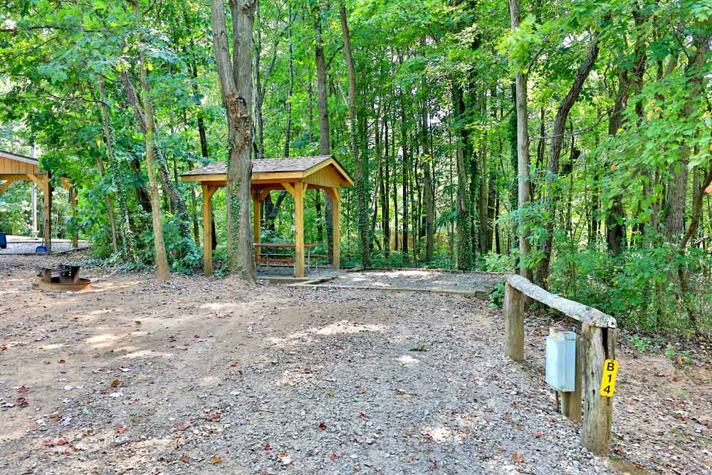 Woodsy sites for tent camping at Asheville West KOA