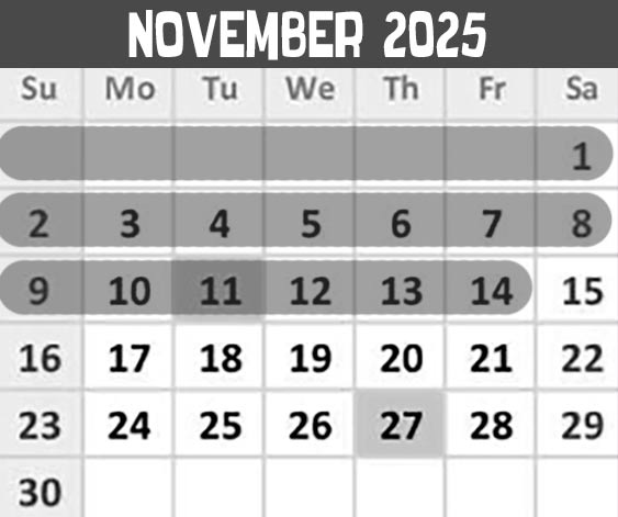November 2025 calendar for Dambo's Trolls Exhibit Asheville